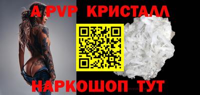 jwh Кингисепп