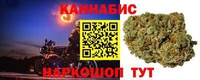 jwh Кингисепп