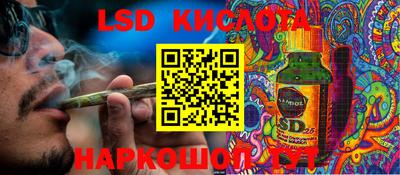 jwh Кингисепп