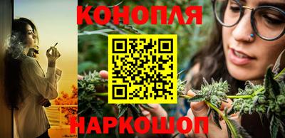 СК Кимры