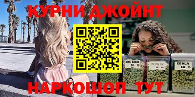 jwh Кингисепп