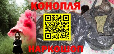 jwh Кингисепп