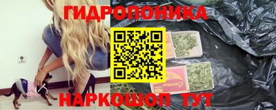 jwh Кингисепп