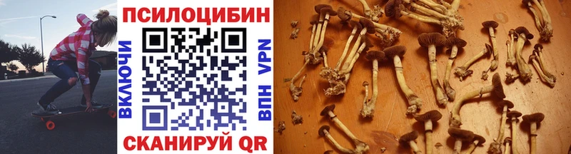 купить   Улан-Удэ  Псилоцибиновые грибы ЛСД 