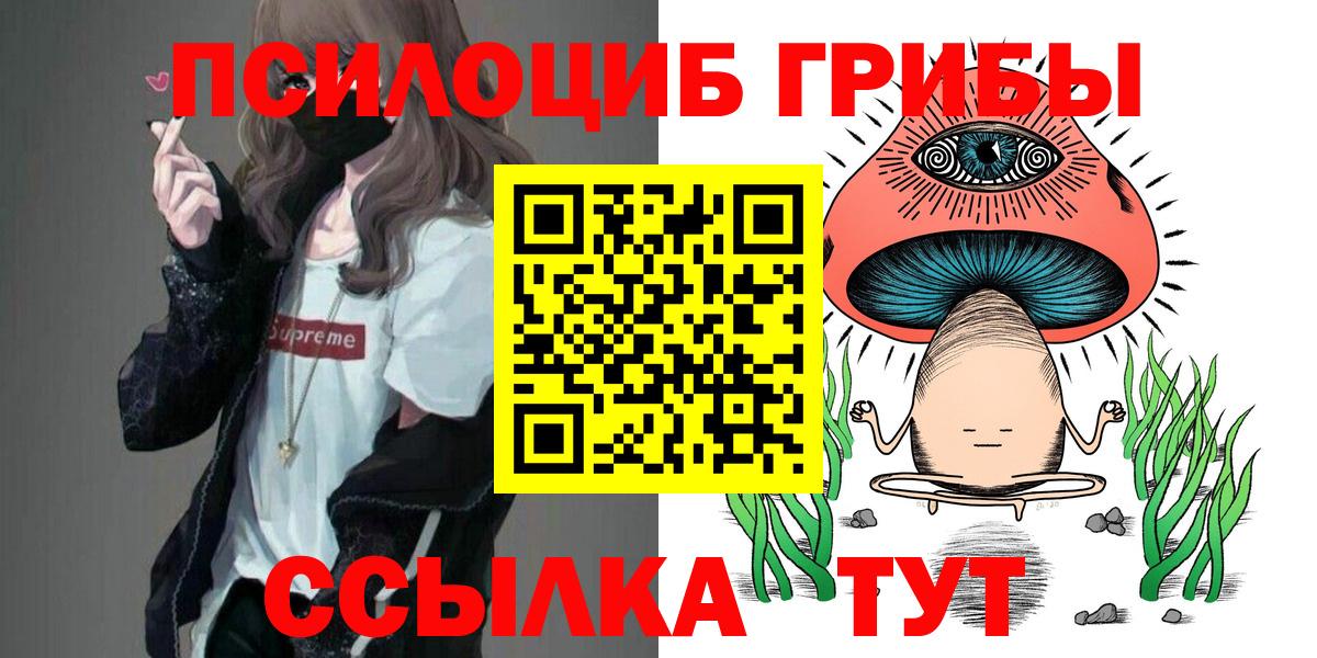 Галлюциногенные грибы Psilocybe  дарнет шоп  Галлюциногенные грибы Psilocybine cubensis  Улан-Удэ  Вход с VPN 