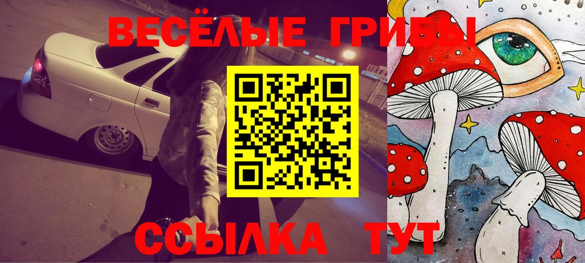 Псилоцибиновые грибы ЛСД  Улан-Удэ  Псилоцибиновые грибы MAGIC MUSHROOMS 